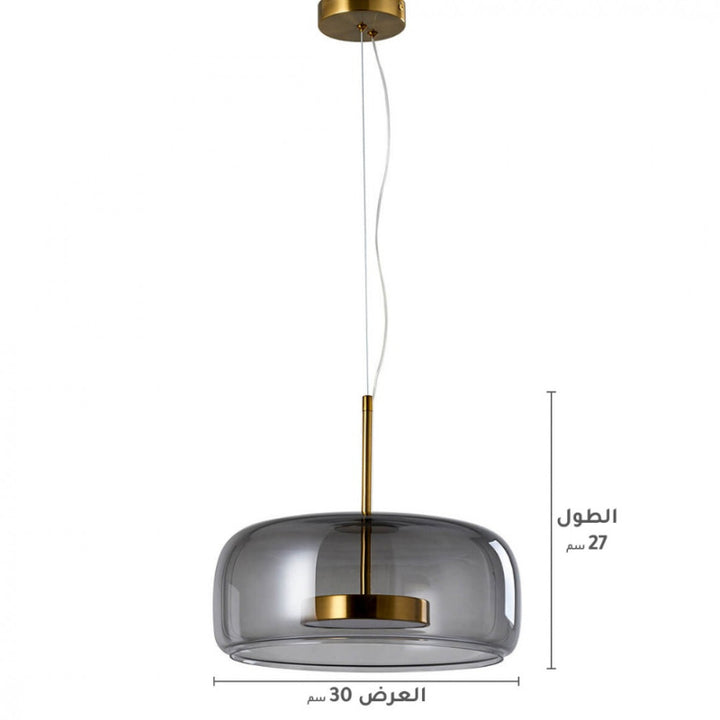 إضاءة معلقة بيضاوية بزجاج رمادي شفاف ايلسا