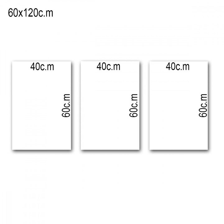 لوحة جدارية فنية بتصميم تجريدي باترفلايز - ثلاث قطع - مقاس 120x60 سم